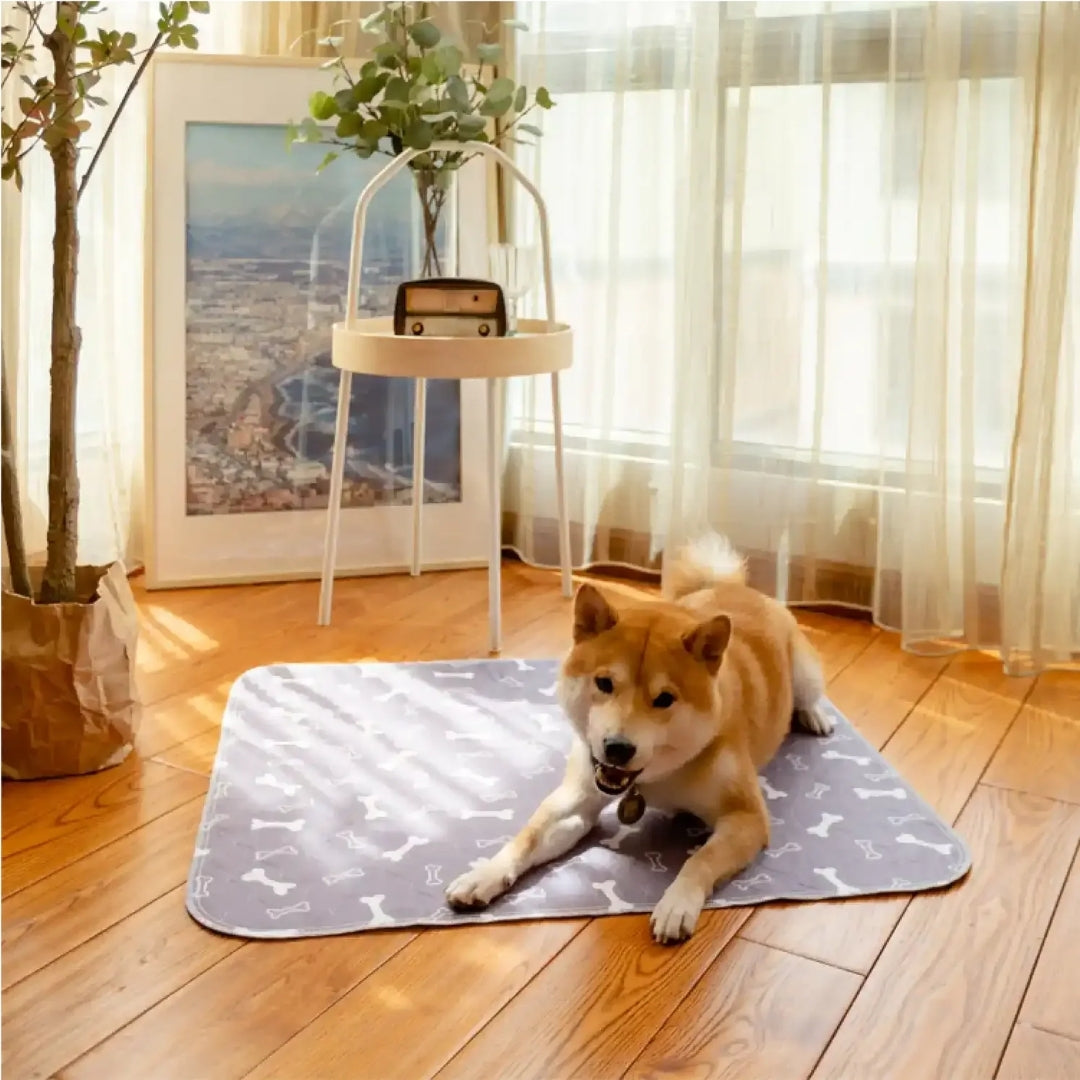 PupPad – Friendog