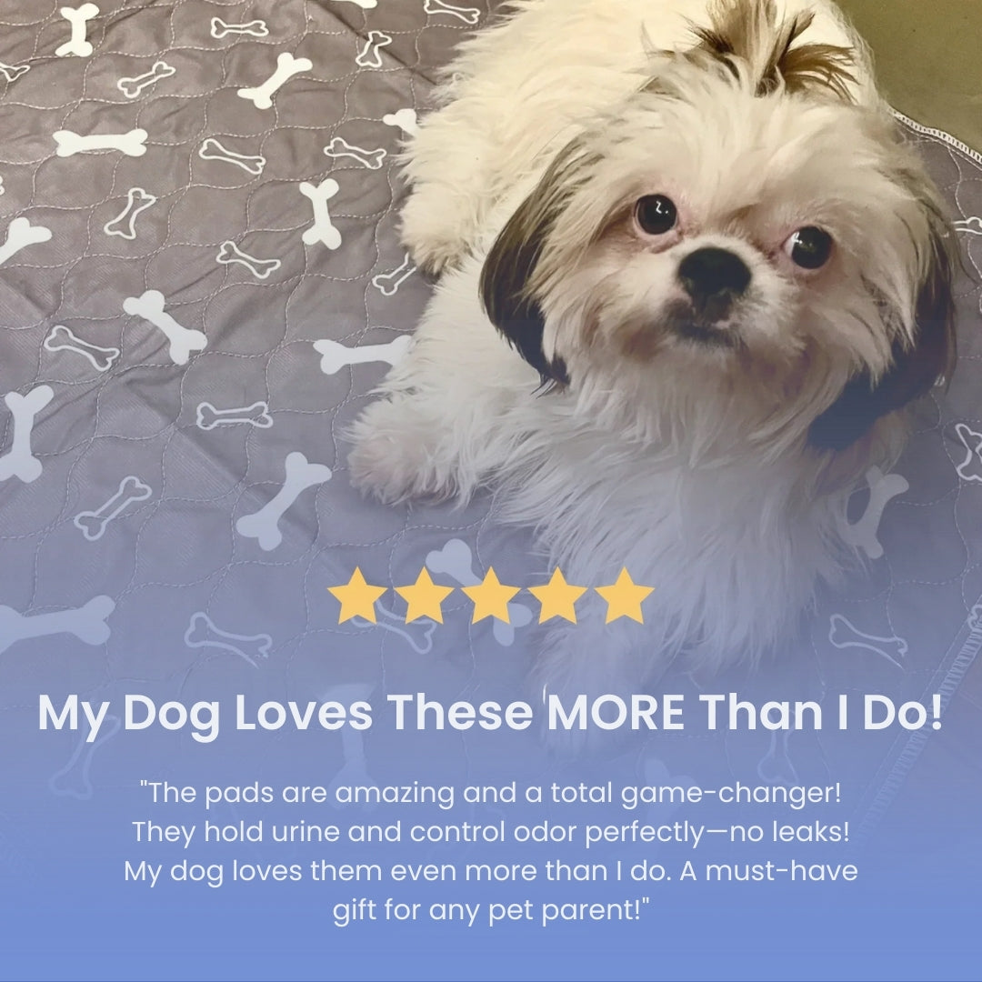 PupPad – Friendog