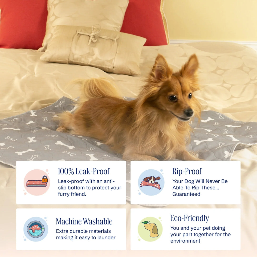 PupPad – Friendog